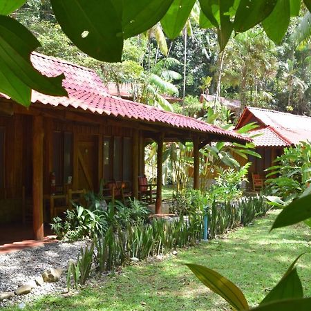 Esquinas Rainforest Lodge Golfito Extérieur photo