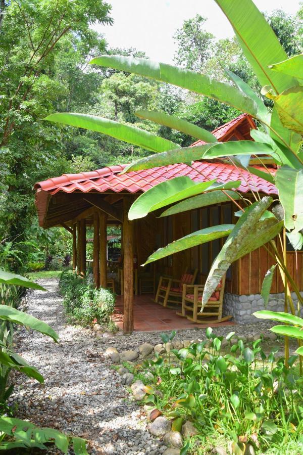 Esquinas Rainforest Lodge Golfito Extérieur photo