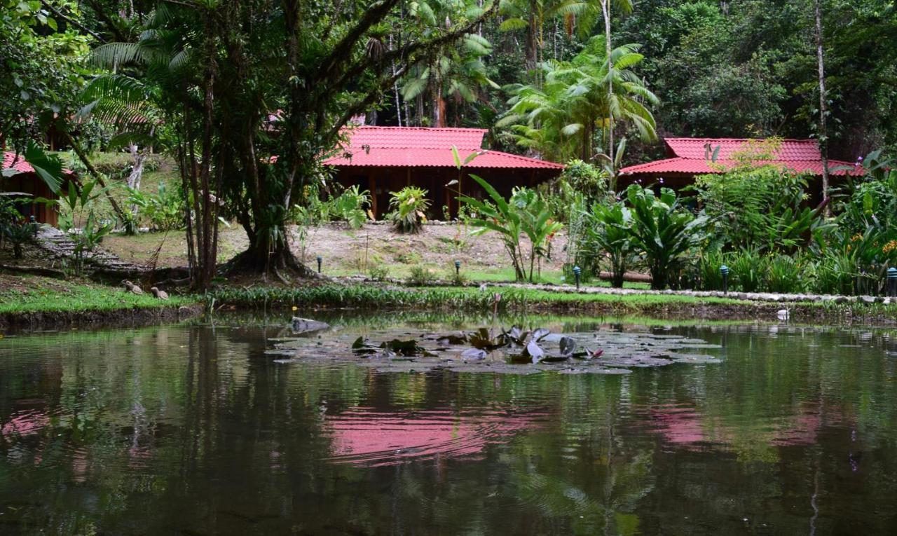 Esquinas Rainforest Lodge Golfito Extérieur photo