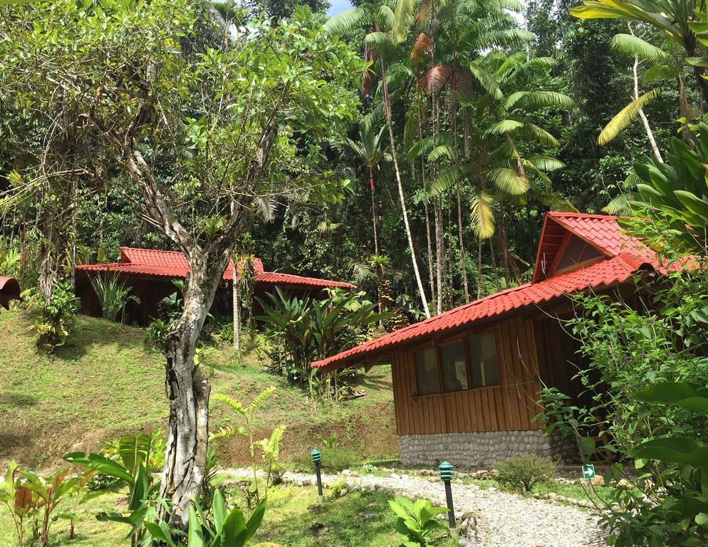 Esquinas Rainforest Lodge Golfito Extérieur photo