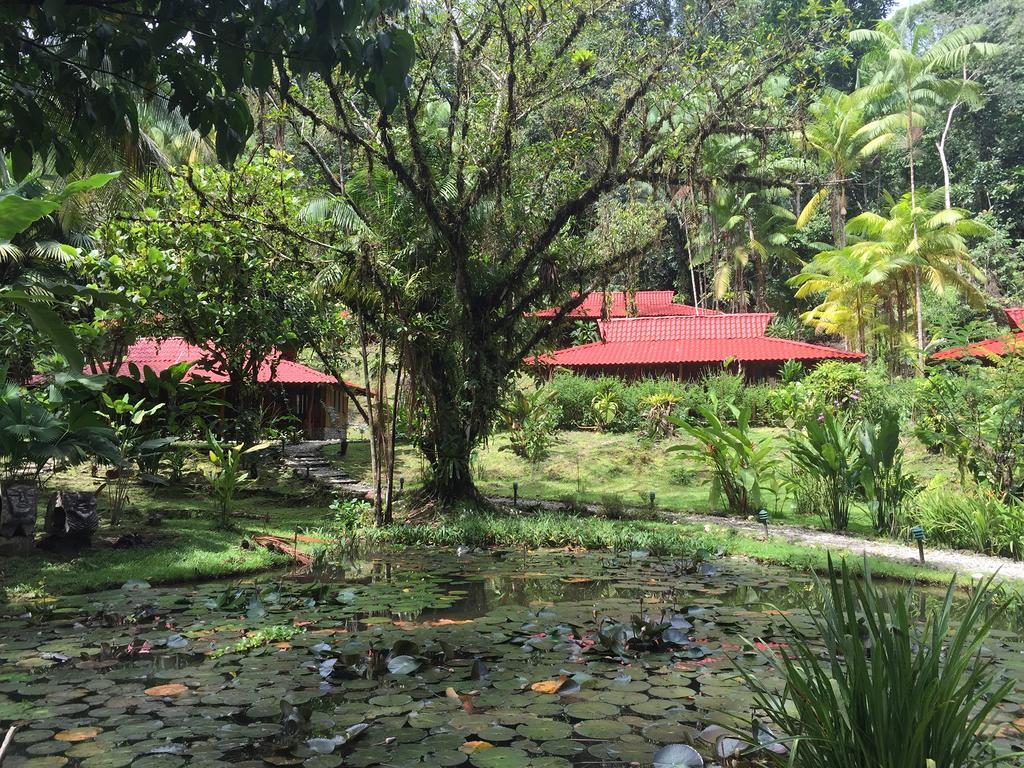 Esquinas Rainforest Lodge Golfito Extérieur photo