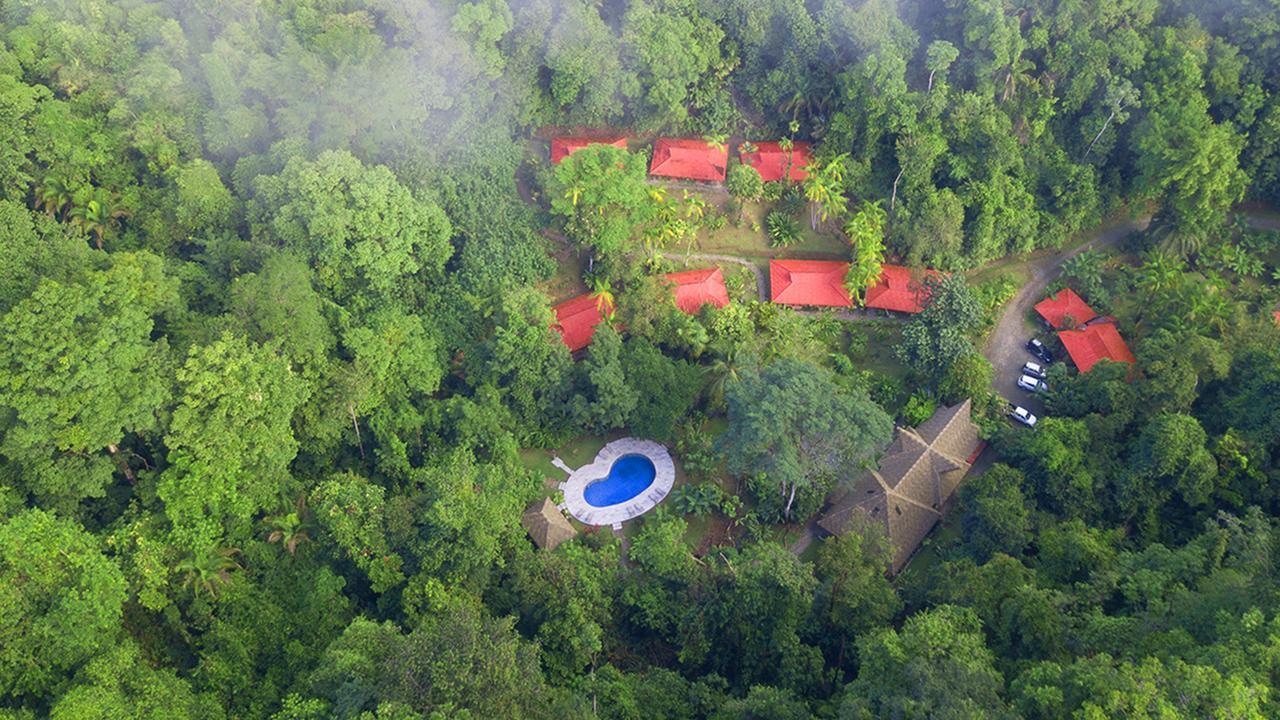 Esquinas Rainforest Lodge Golfito Extérieur photo