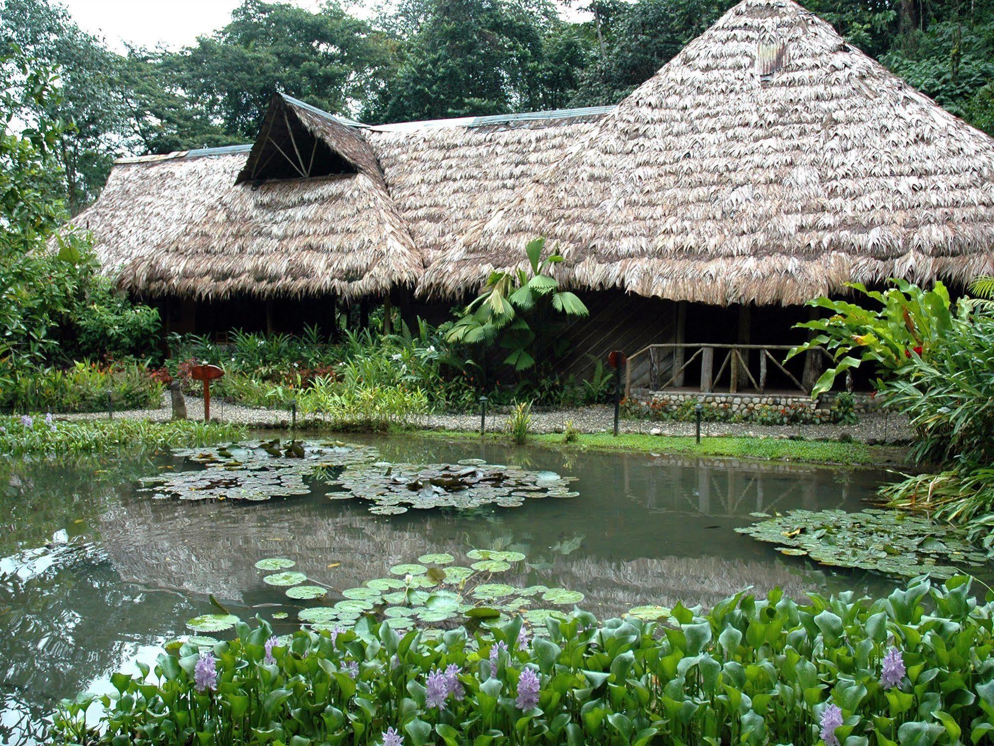 Esquinas Rainforest Lodge Golfito Extérieur photo
