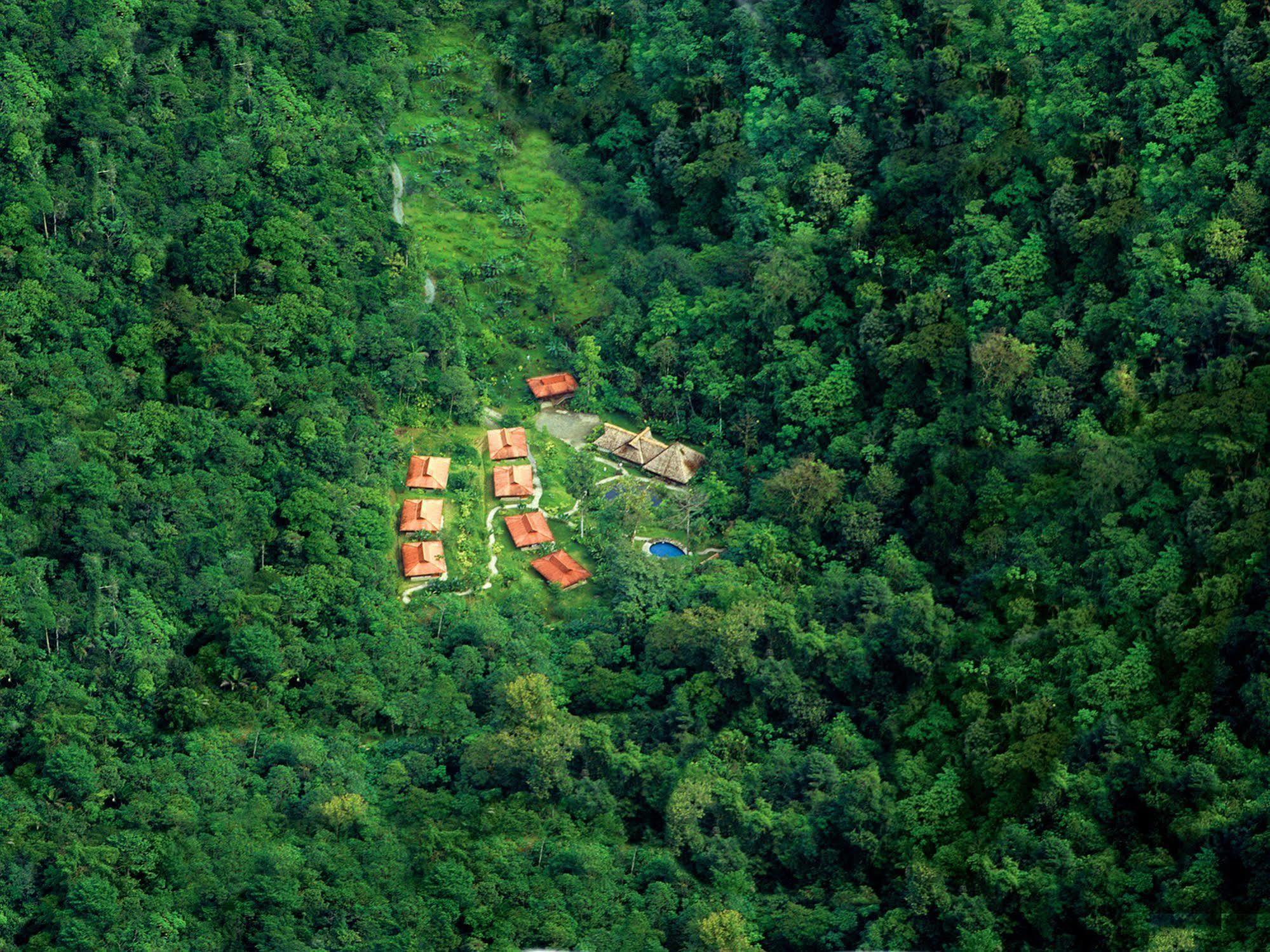 Esquinas Rainforest Lodge Golfito Extérieur photo