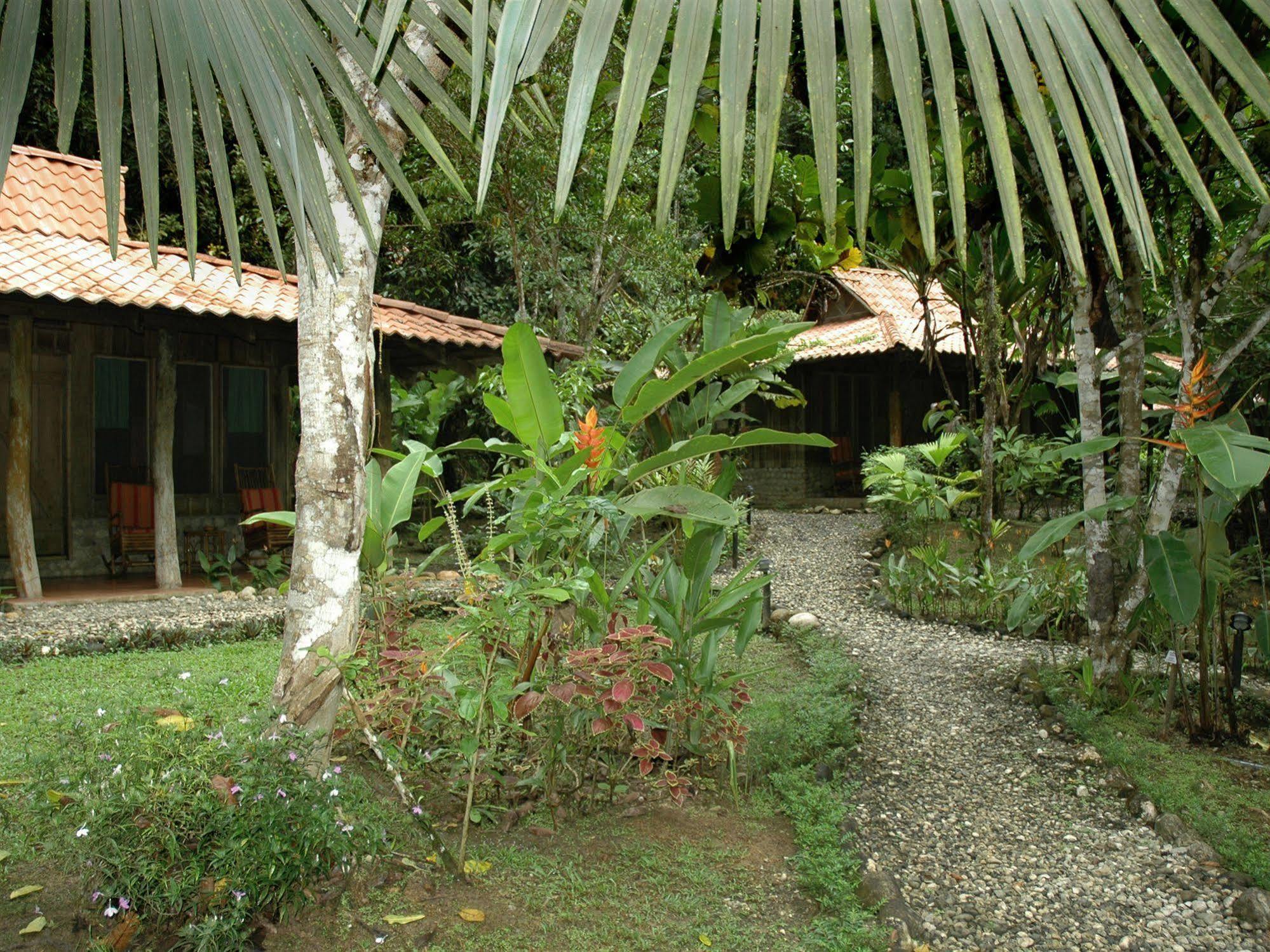 Esquinas Rainforest Lodge Golfito Extérieur photo