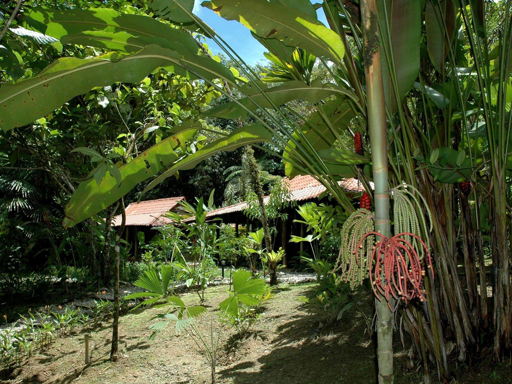 Esquinas Rainforest Lodge Golfito Extérieur photo