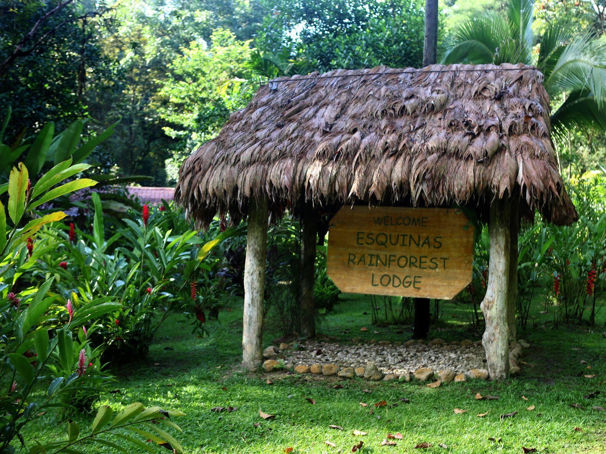 Esquinas Rainforest Lodge Golfito Extérieur photo